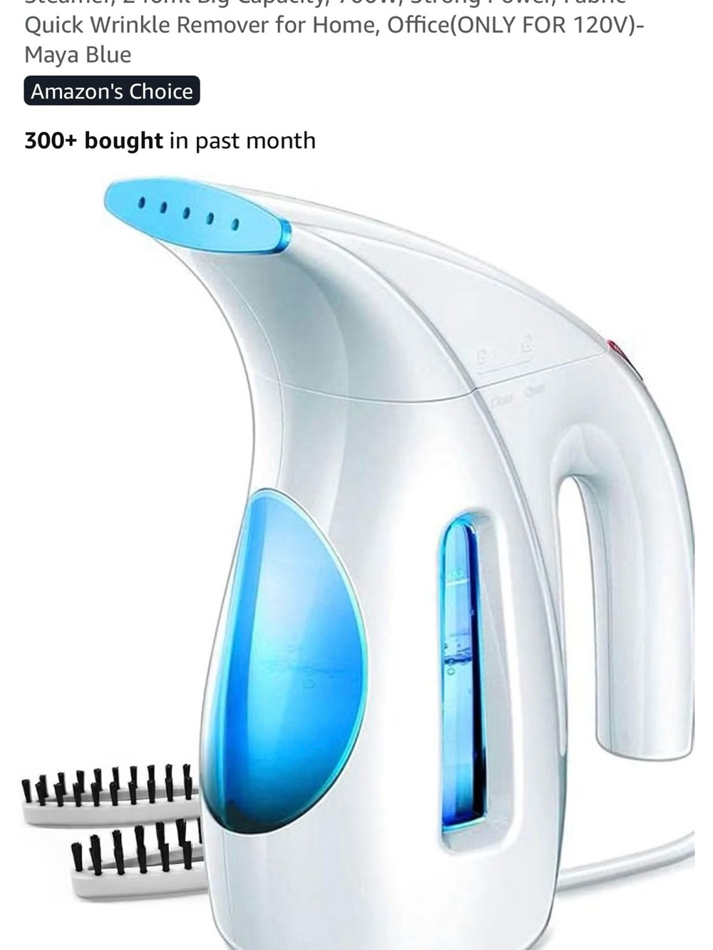 Handheld Garment Steamer - White & Blue